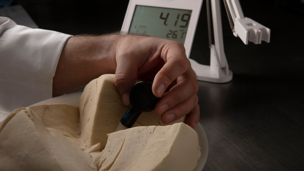 Analisi del pH del lievito madre con un elettrodo bluetooth HALO