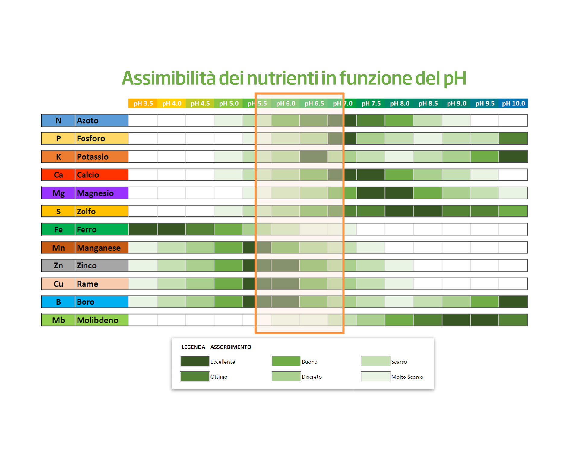 Assorbimento dei nutrienti in funzione del pH