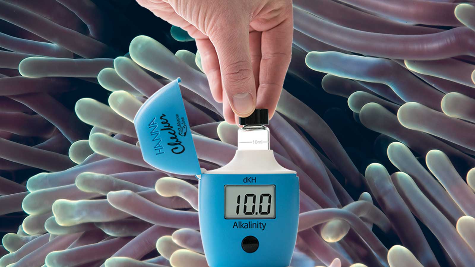 Acquariofilia - L'arte e la Scienza degli Acquari