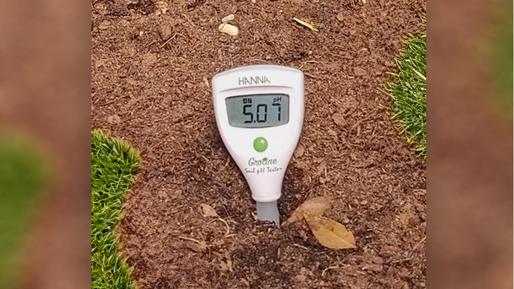 Misura diretta del pH nel terreno